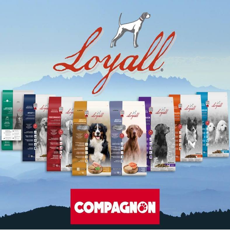 Agri-Solutions-Compagnon-Image-carroussel_03