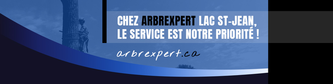 ArbreXpert-Lac-St-Jean-Bandeau-Icia